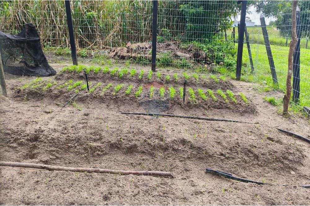 Terreno - Venda - Conde , Paraíba - WhatsApp Image 2025-10-30 at 15.08.16 (1) - Copia.jpeg - 720871047-16