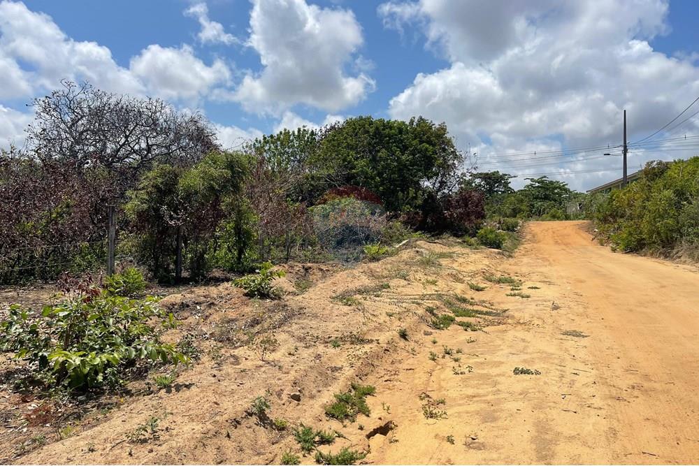 Terreno - Venda - Conde , Paraíba - WhatsApp Image 2025-01-02 at 15.01.13.jpeg - 720871004-173