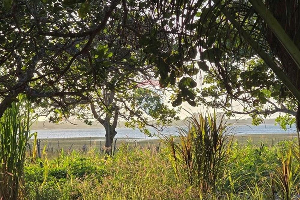 Terreno - Venda - Cruz , Ceará - 1000385855.jpg - 722341001-122