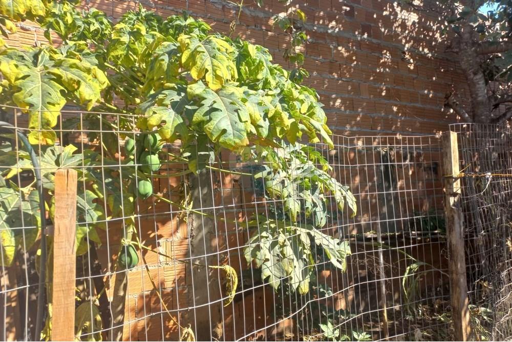 Casa - Venda - Rondonópolis , Mato Grosso - Imagem do WhatsApp de 2025-10-27 à(s) 22.29.53_3cda5fb6.jpg - 722261001-74