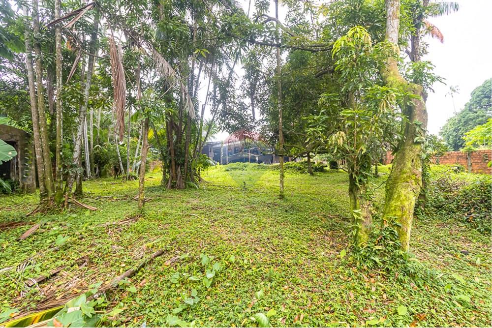 Terreno - Venda - Belém , Pará - IMG_7975.jpg - 720921007-94