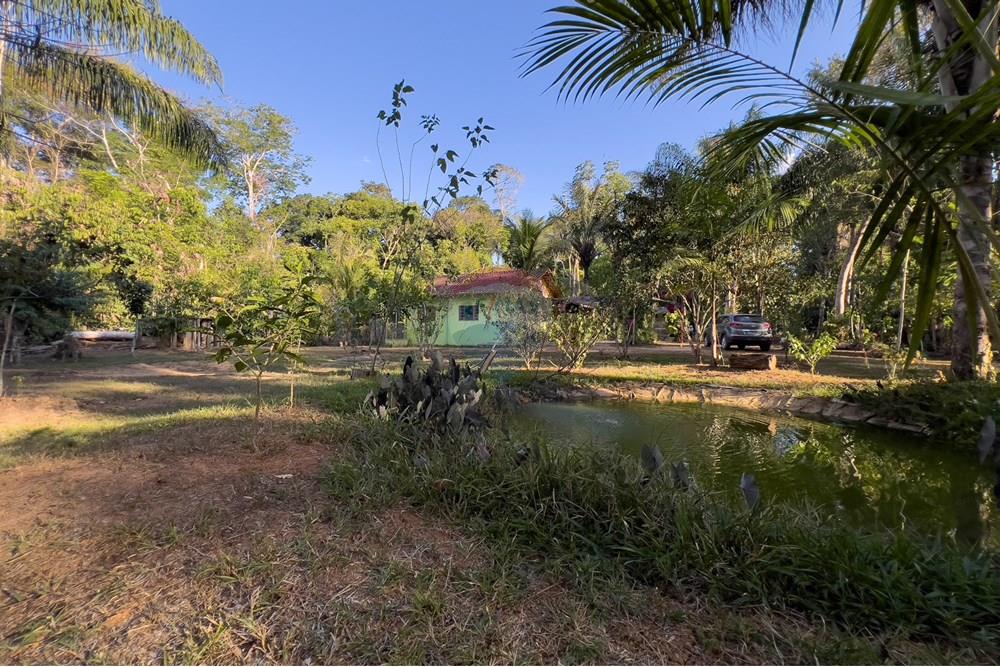 Chácara / Sítio / Fazenda - Venda - Porto Velho , Rondônia - IMG_9028.jpg - 721551016-73