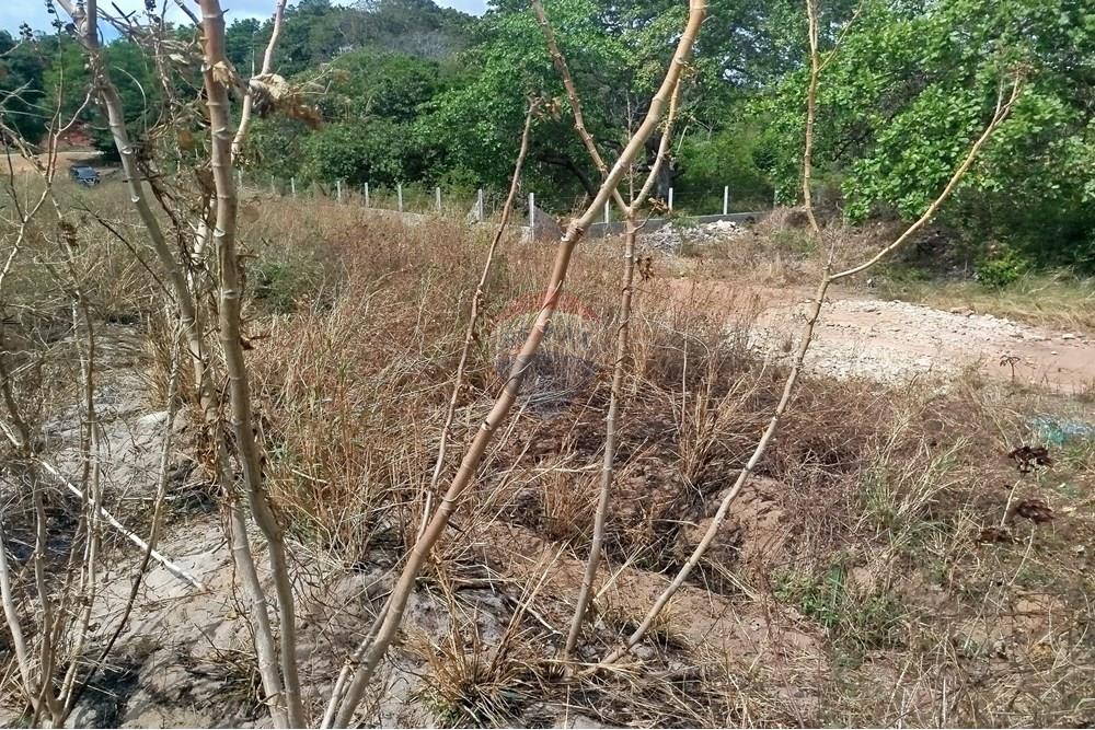 Terreno - Venda - Nísia Floresta , Rio Grande do Norte - WhatsApp Image 2024-11-22 at 21.32.38 (1).jpeg - 720891013-275