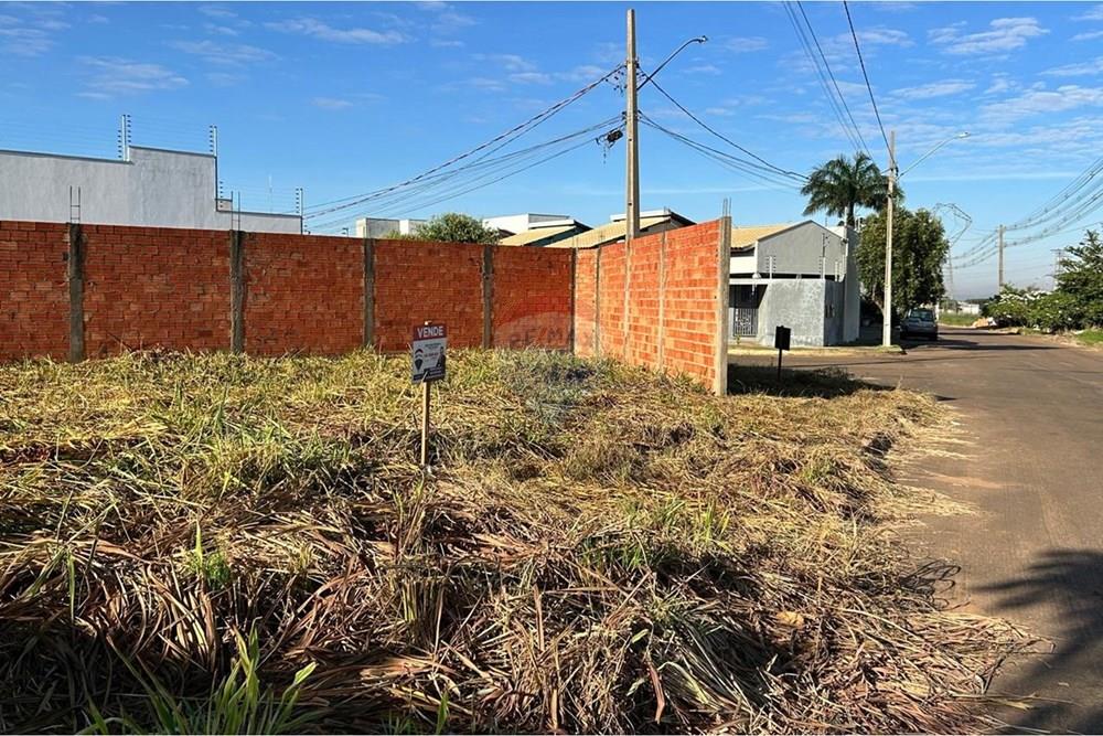 Terreno - Venda - Rondonópolis , Mato Grosso - WhatsApp Image 2025-06-12 at 18.47.47 (12).jpeg - 720851154-236