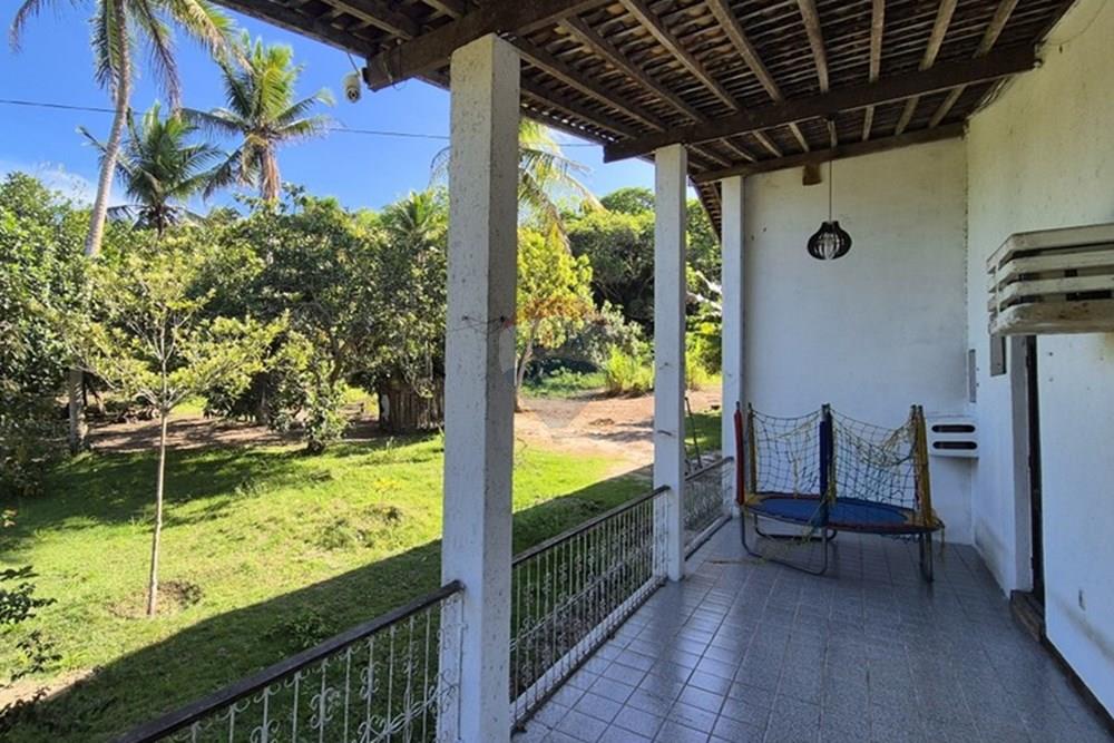 Chácara / Sítio / Fazenda - Venda - Mamanguape , Paraíba - 20250207_144609.jpg - 722011055-45