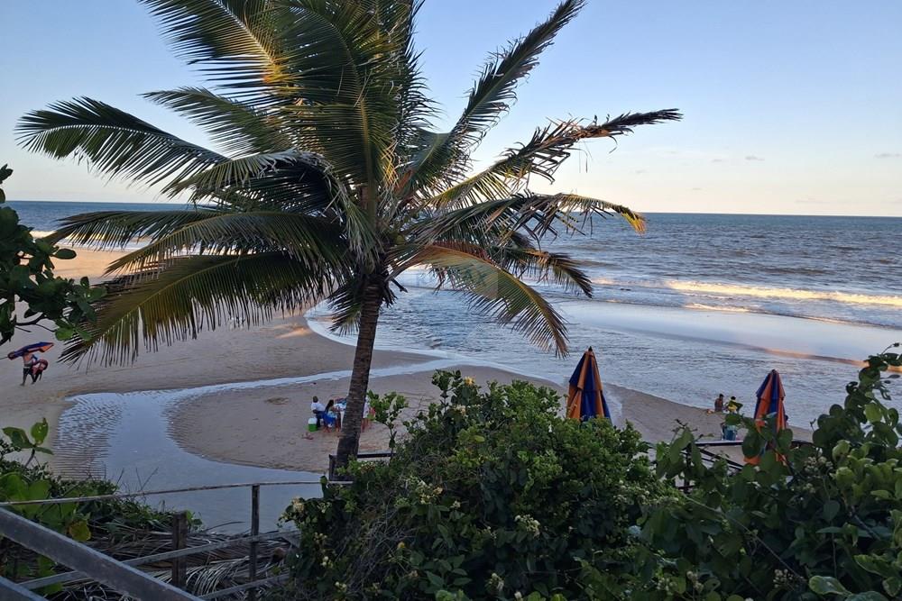 Terreno - Venda - Pitimbu , Paraíba - 20260310_165619.jpg.jpeg - 720871044-121