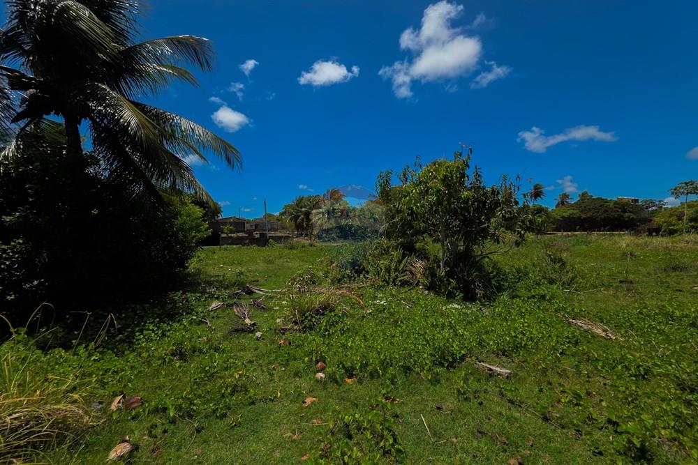 Terreno - Venda - Extremoz , Rio Grande do Norte - 20260123_112830.jpg - 720811047-40