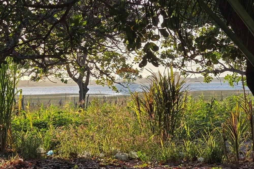 Terreno - Venda - Cruz , Ceará - 1000385866.jpg - 722341001-122