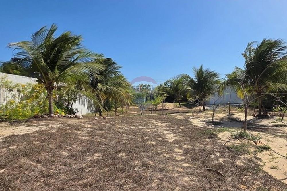 Casa Comercial - Venda - Cruz , Ceará - 20251105_135745.jpg - 722341001-109