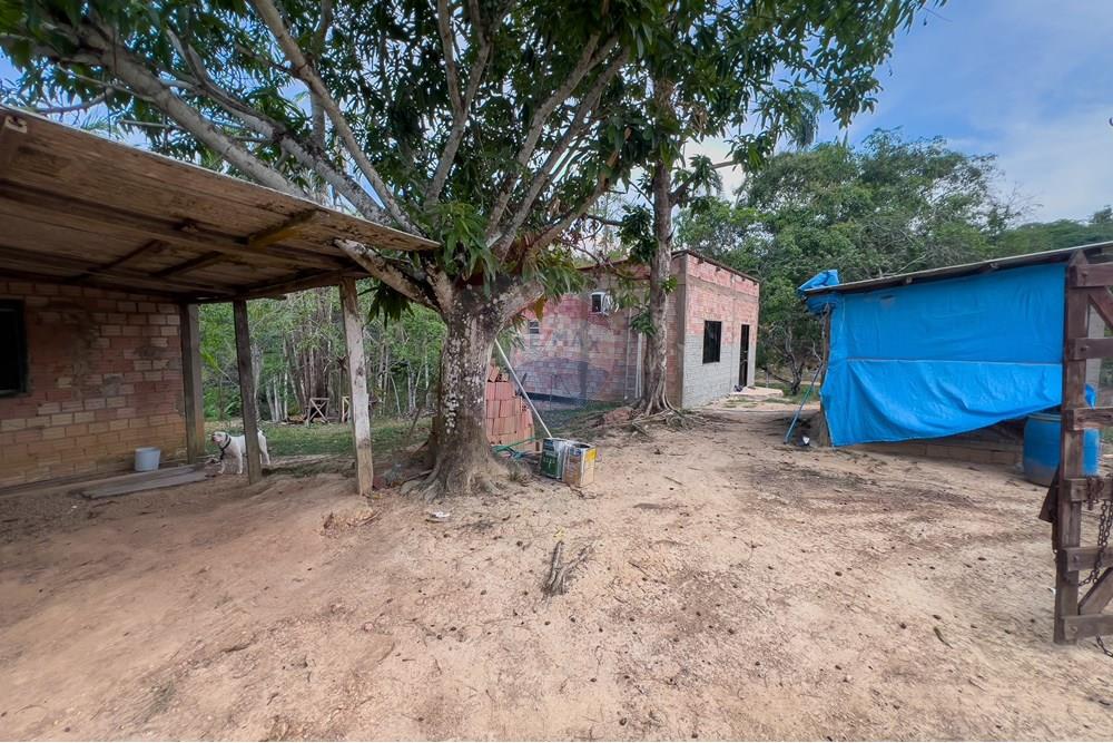 Chácara / Sítio / Fazenda - Venda - Porto Velho , Rondônia - IMG_3131.jpg - 721551059-6