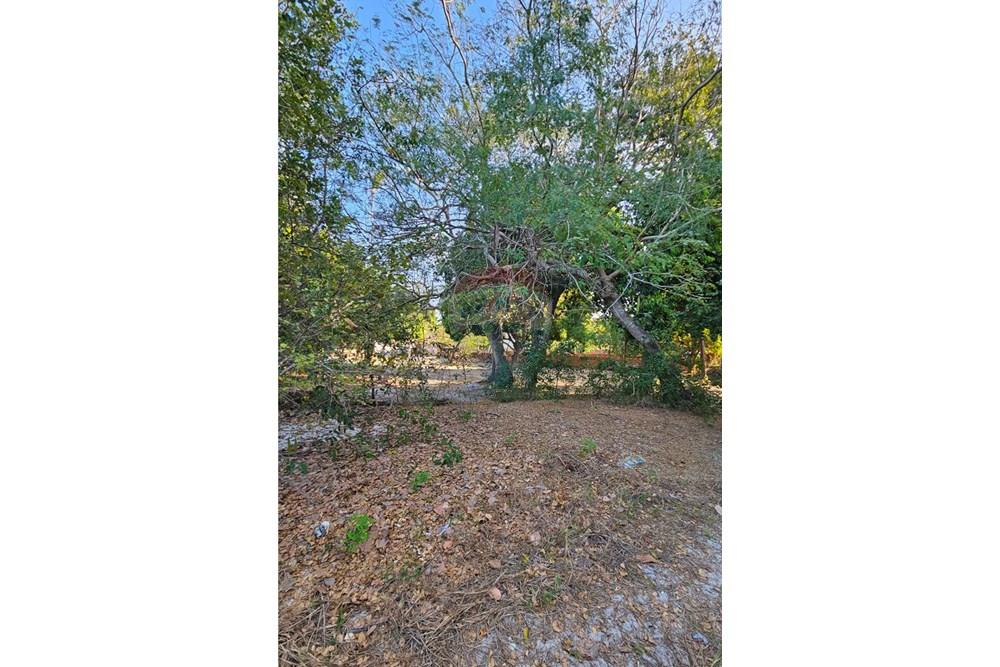 Terreno - Venda - Jijoca de Jericoacoara , Ceará - 20240905_163632.jpg - 722341001-43