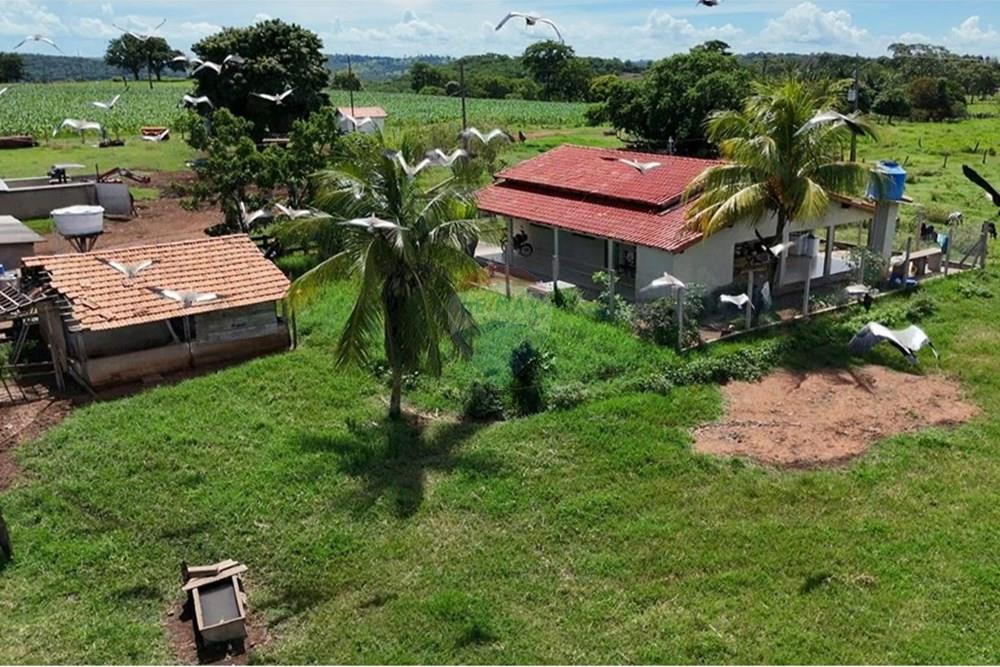 Chácara / Sítio / Fazenda - Venda - Juscimeira , Mato Grosso - WhatsApp Image 2026-02-05 at 08.29.40 (2).jpeg - 722201031-2