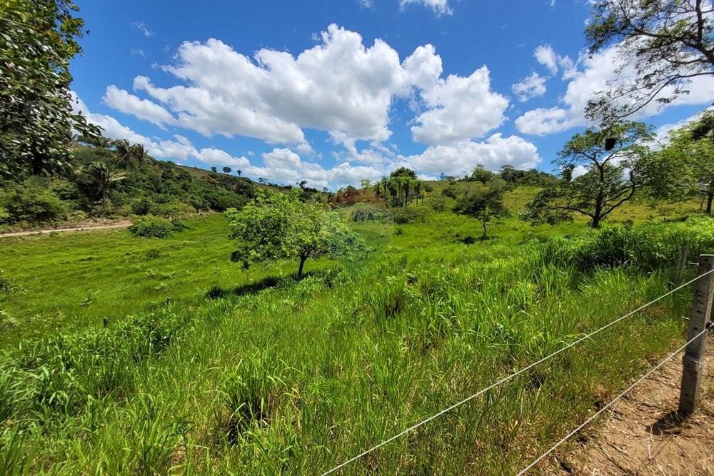 Chácara / Sítio / Fazenda - Venda - Areia , Paraíba - 20230207_103401.jpg - 722011055-52