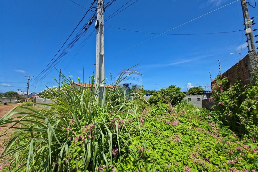 Terreno - Venda - Conde , Paraíba - 20260324_121608.jpg - 720871015-147