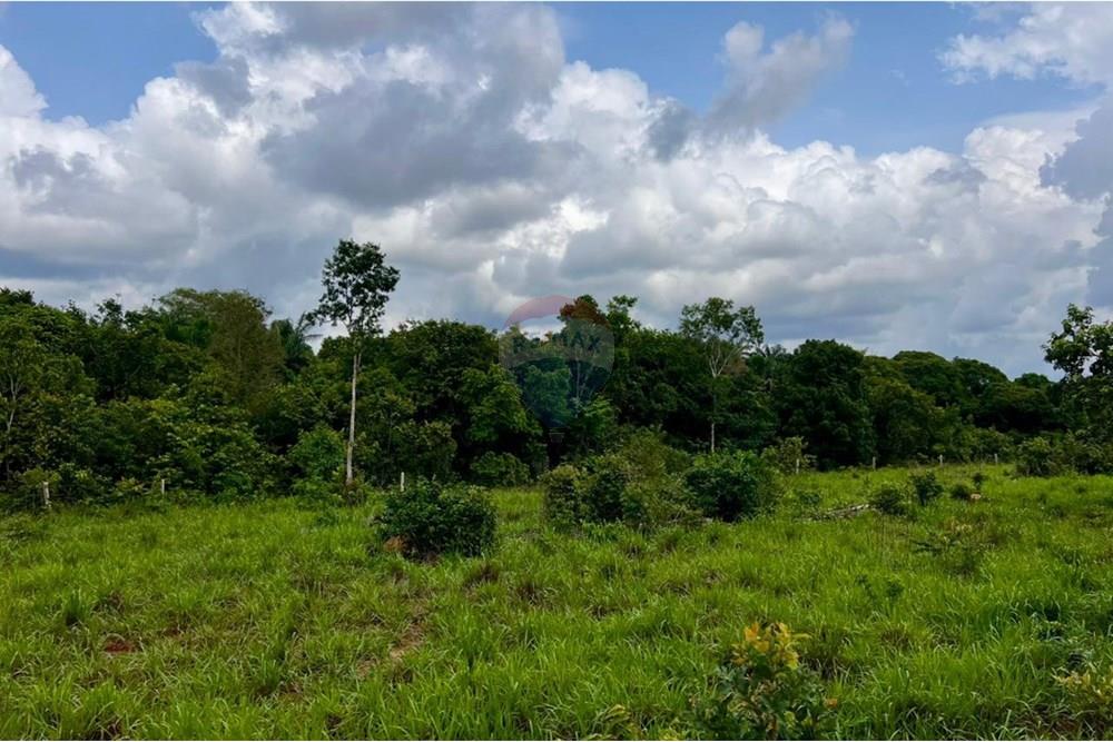 Fazenda - Venda - Araguaína , Tocantins - WhatsApp Image 2025-12-13 at 19.34.46.jpeg - 720991010-81