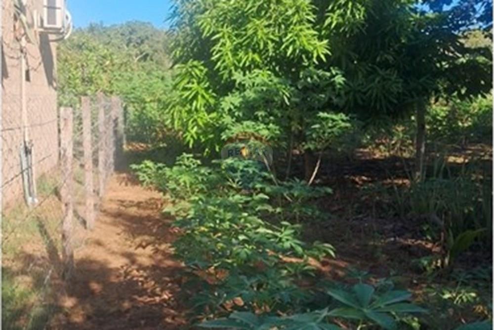 Chácara / Sítio / Fazenda - Venda - Rondonópolis , Mato Grosso - Imagem do WhatsApp de 2025-08-25 à(s) 16.49.22_889a58d3.jpg - 722261001-70