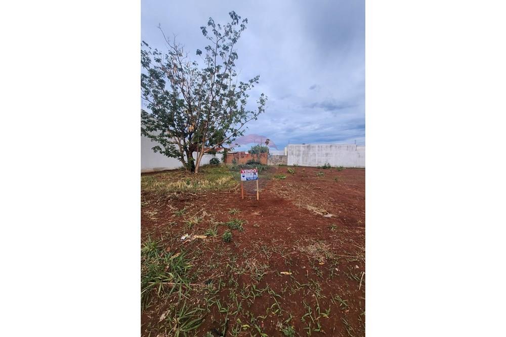 Terreno - Venda - Rondonópolis , Mato Grosso - 20251108_172746.jpg - 720851124-22