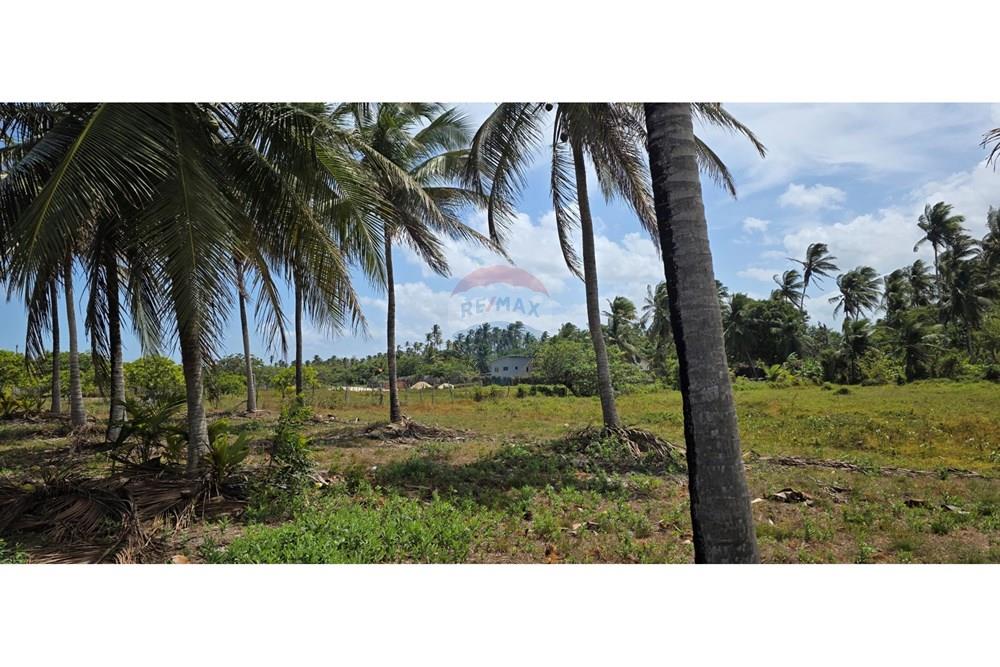 Terreno - Venda - Acaraú , Ceará - 1000304683.jpg - 722341001-114