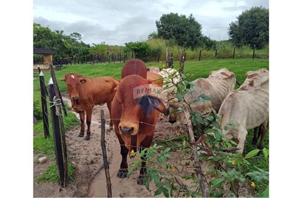 Terreno - Venda - Conde , Paraíba - maanaim - Copia.jpg - 720871047-16