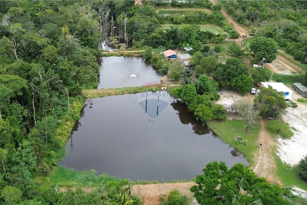 Woningbouw - Boerderij - Novo Airão , Amazonas - BR - Tanques de Peixes3.jpg - 720721055-29