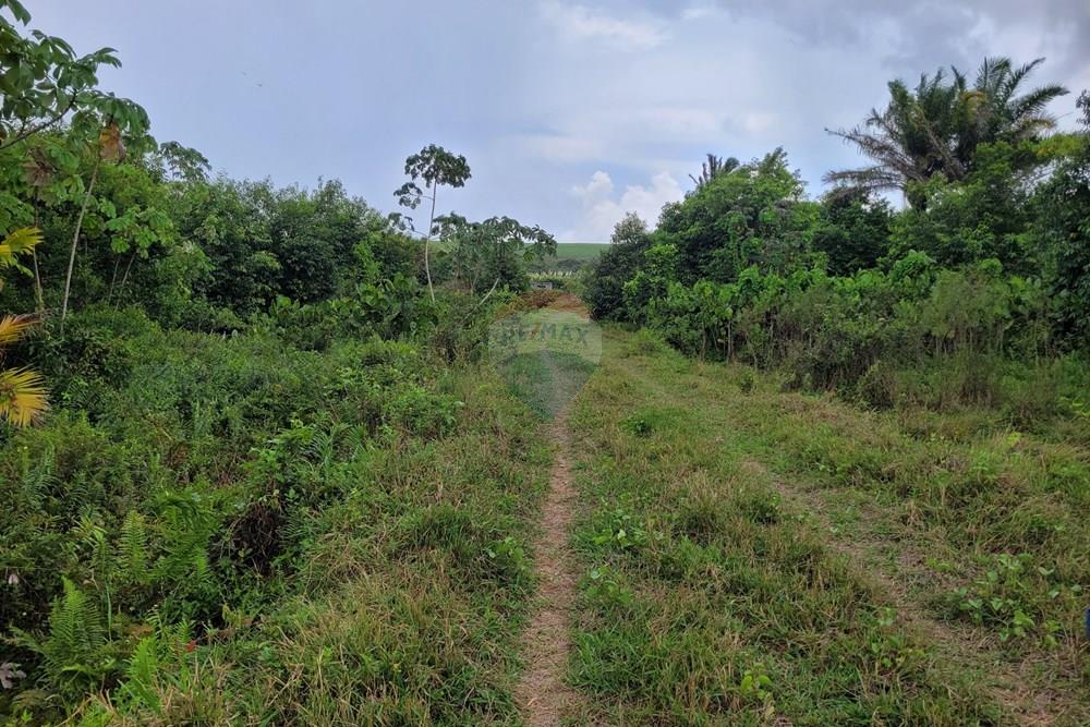 Chácara / Sítio / Fazenda - Venda - Conde , Paraíba - 20260207_104805.jpg - 722011055-53