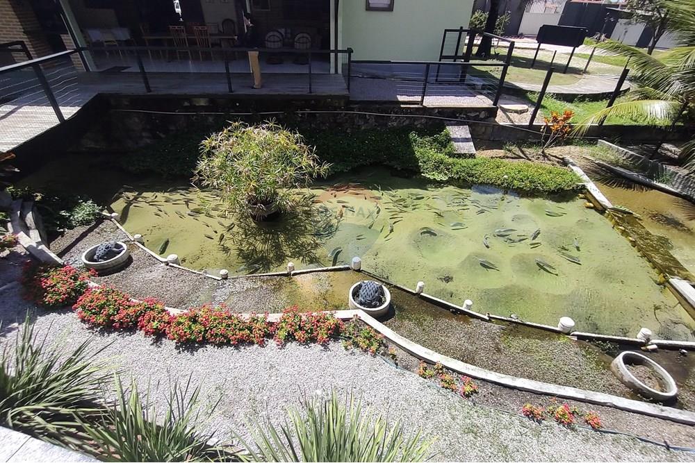 Chácara / Sítio / Fazenda - Venda - Nísia Floresta , Rio Grande do Norte - WhatsApp Image 2025-06-05 at 15.28.56(1).jpeg - 720731020-103