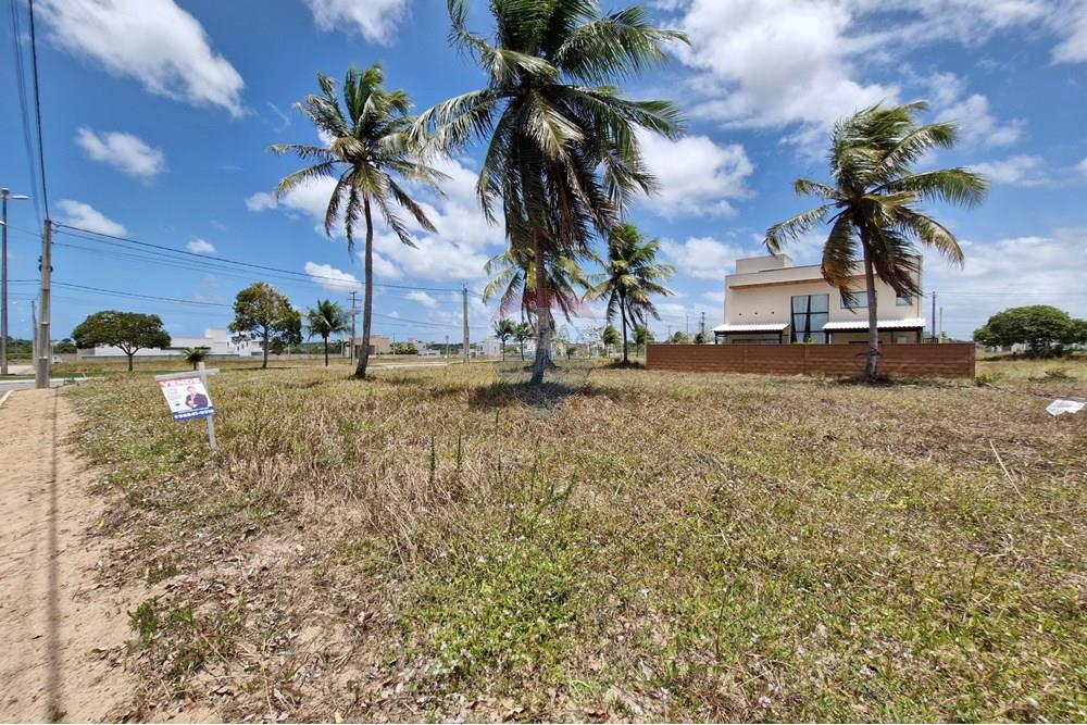 Terreno - Venda - Nísia Floresta , Rio Grande do Norte - 20240926_112419.jpg - 720811001-60