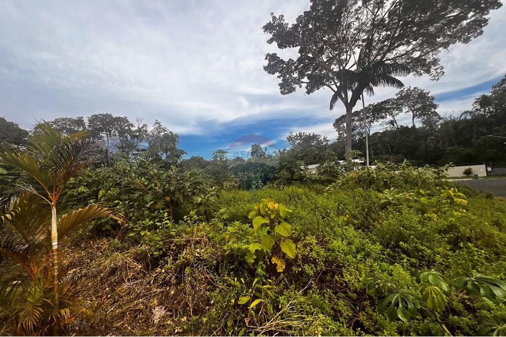 Terreno - Venda - Manaus , Amazonas - image00009.jpeg - 720661010-139
