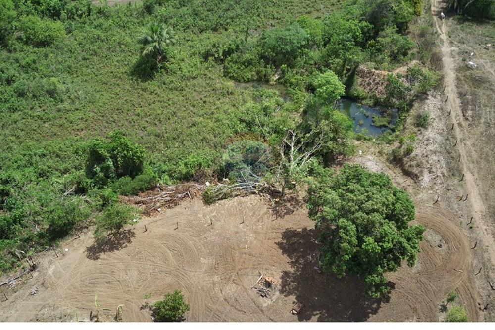 Chácara / Sítio / Fazenda - Venda - Dom Aquino , Mato Grosso - IMG_7848.JPG - 720611016-36