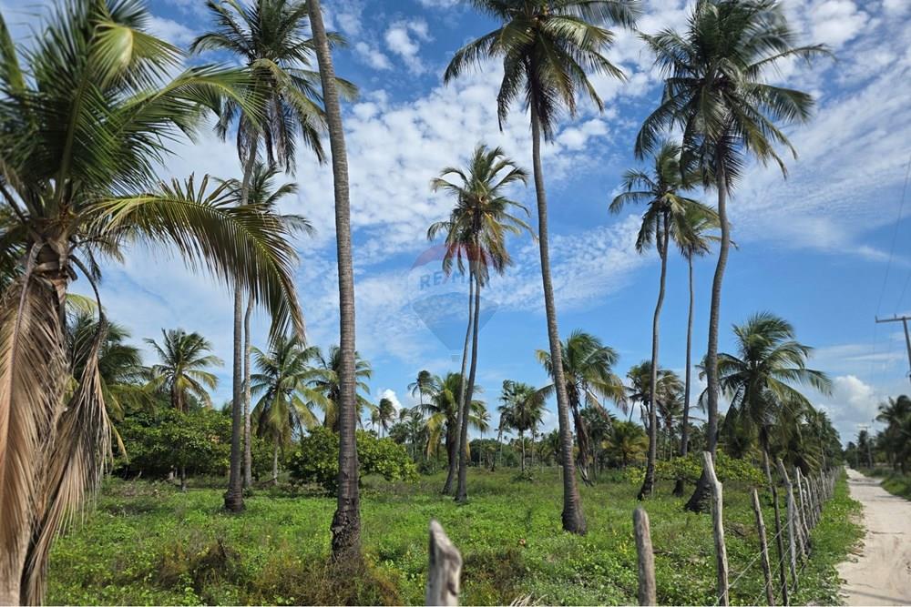 Terreno - Venda - Acaraú , Ceará - 1000542818.jpg - 722341001-188