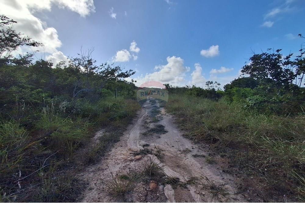 Terreno - Venda - Pitimbu , Paraíba - b00436bc-c12a-4249-bfd3-da116c4d5318.jpg - 720871044-61