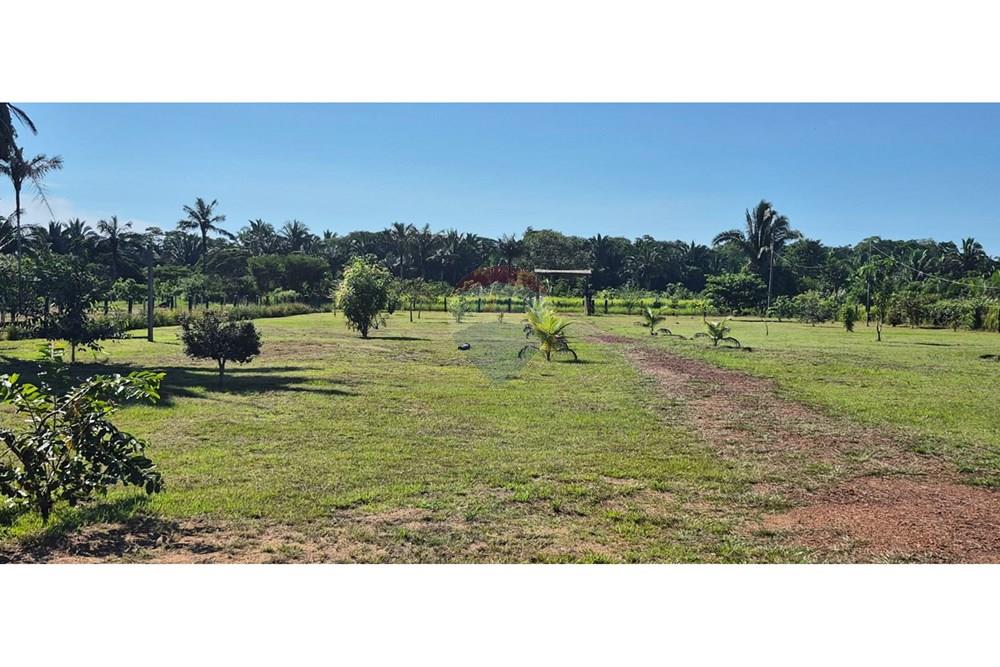 Dzīvojamais - Lauku saimniecība - Porto Velho , Rondônia - BR - Leo nbhd.jpg - 721551019-217