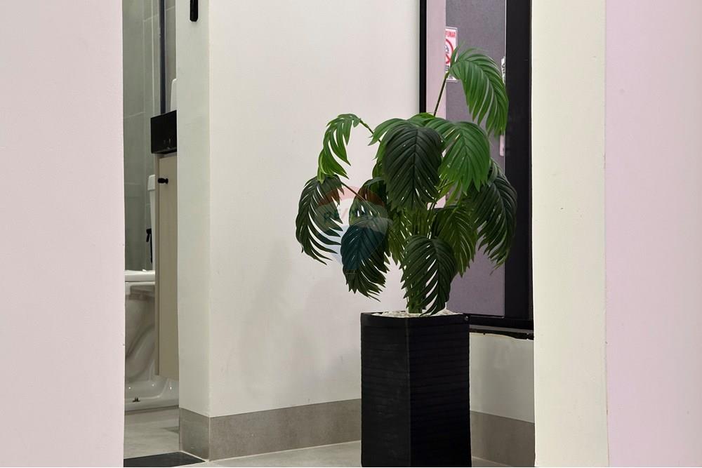 Apartamento - Alugar - Redenção , Pará - IMG_3308.jpg - 722331001-136