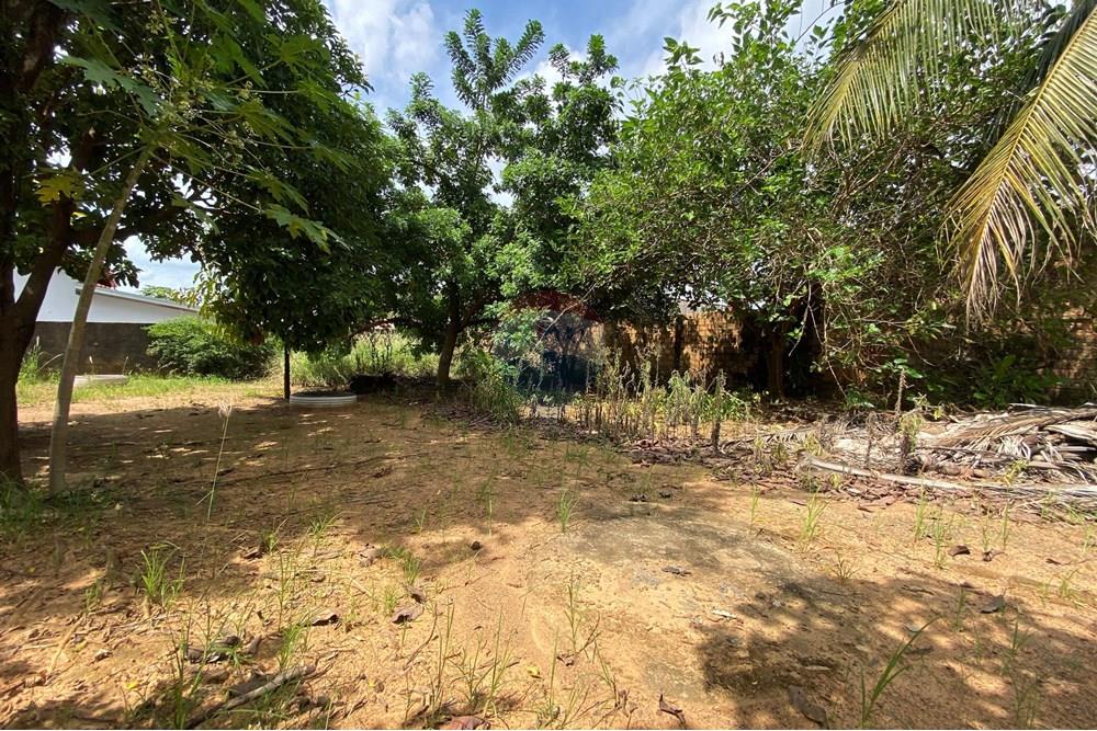 Terreno - Venda - Jaru , Rondônia - IMG_6344.JPG - 721551072-30