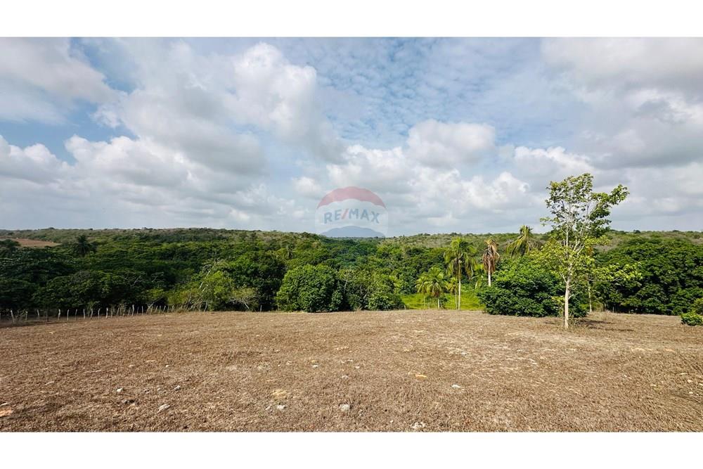 Chácara / Sítio / Fazenda - Venda - São José de Mipibu , Rio Grande do Norte - IMG-20250206-WA0009.jpg - 720811013-67