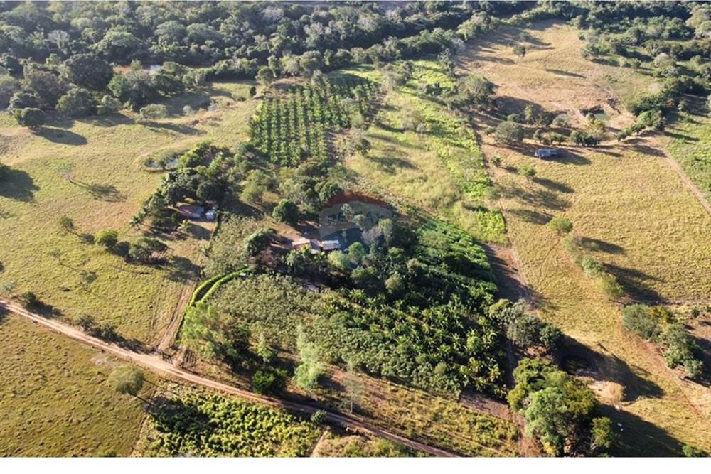 Fazenda - Venda - Guiratinga , Mato Grosso - IMG-20250730-WA0172.jpg - 721981068-4