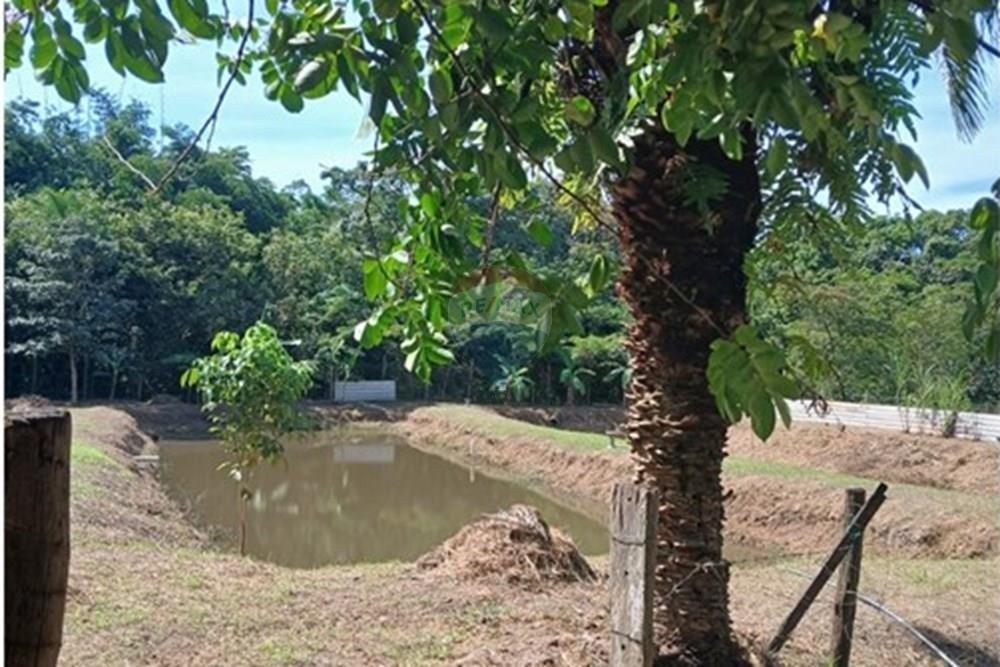 Chácara / Sítio / Fazenda - Venda - Rondonópolis , Mato Grosso - WhatsApp Image 2025-05-12 at 16.32.18 (8).jpeg - 720611007-91