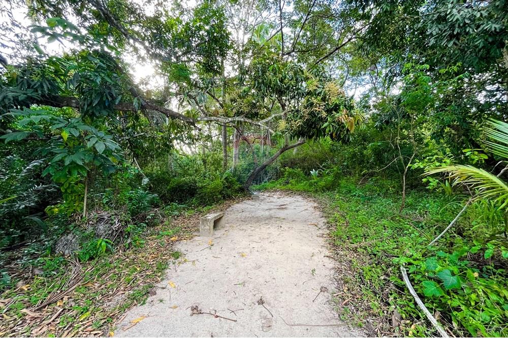 Terreno - Venda - Parnamirim , Rio Grande do Norte - IMG_5061.jpg - 720811066-3