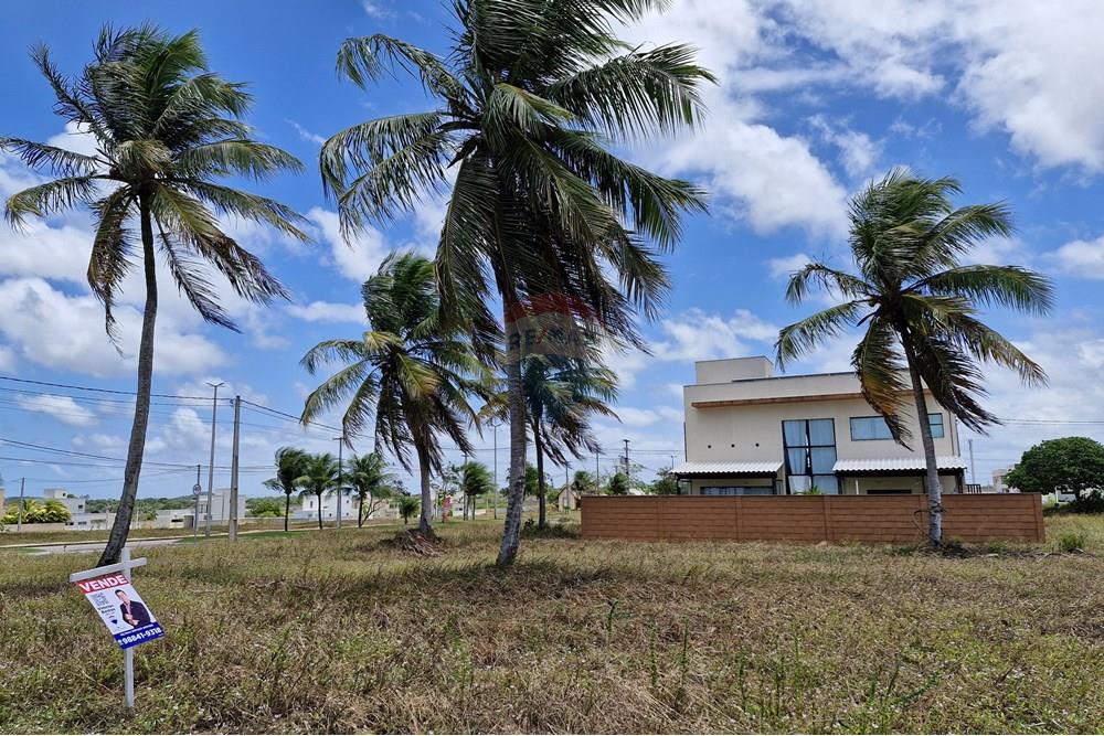 Terreno - Venda - Nísia Floresta , Rio Grande do Norte - 20240926_112402.jpg - 720811001-60