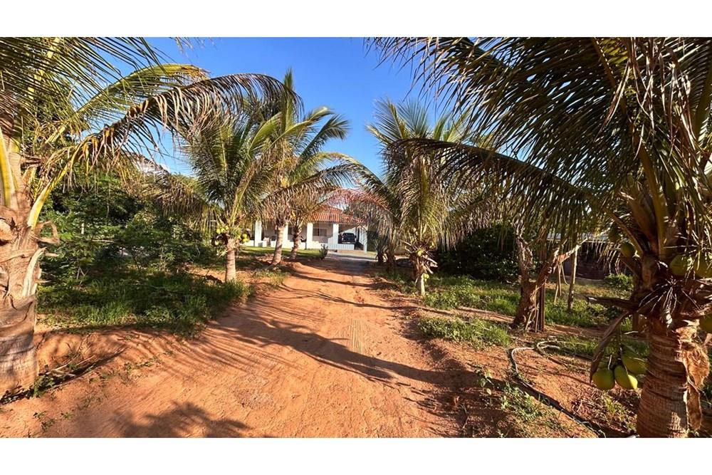 Chácara / Sítio / Fazenda - Venda - Caldas Novas , Goiás - WhatsApp Image 2026-02-10 at 12.04.37 (1).jpeg - 722251002-59