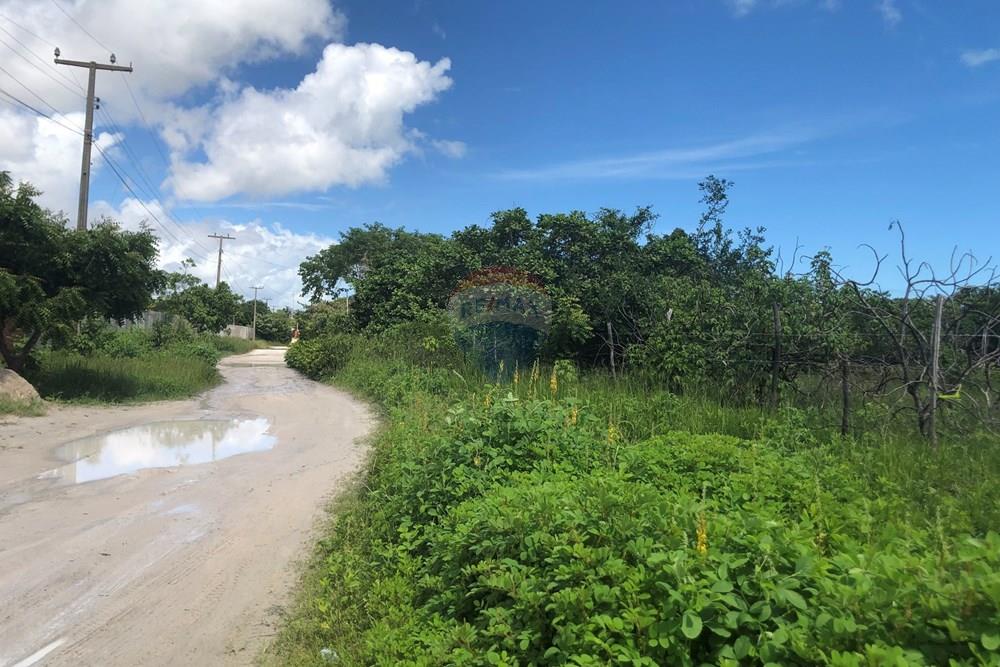 Terreno - Venda - Cruz , Ceará - IMG_0590.jpeg - 722341001-199