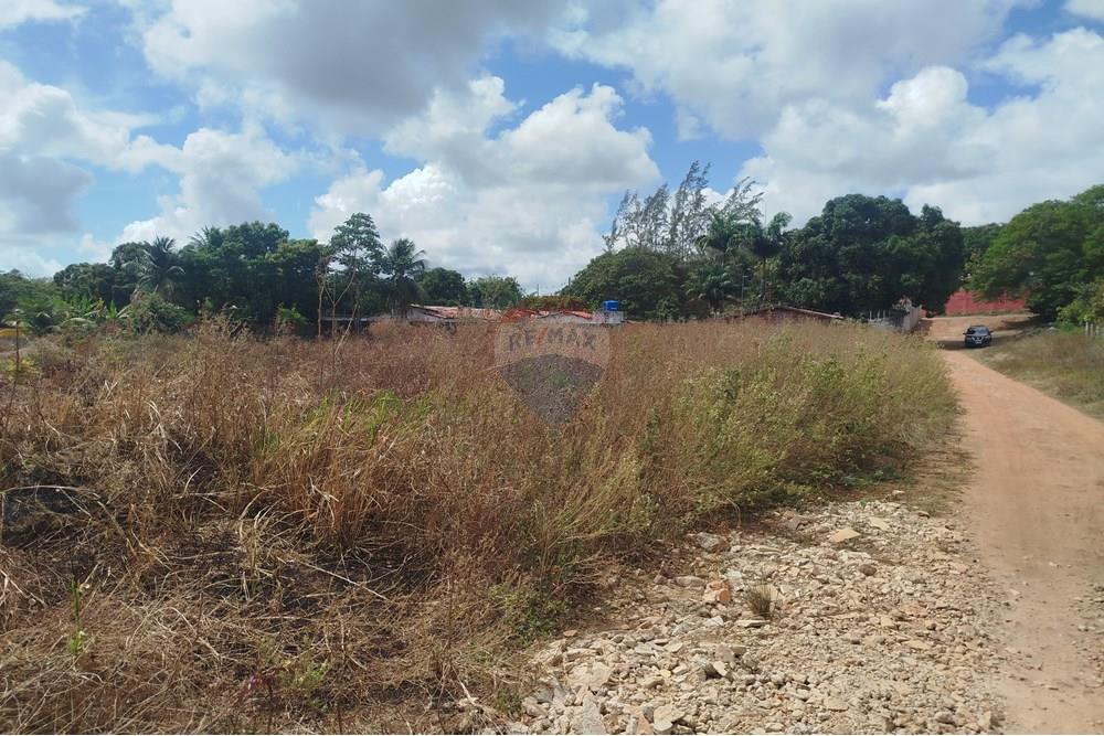 Terreno - Venda - Nísia Floresta , Rio Grande do Norte - WhatsApp Image 2024-11-22 at 21.32.39 (3).jpeg - 720891013-275