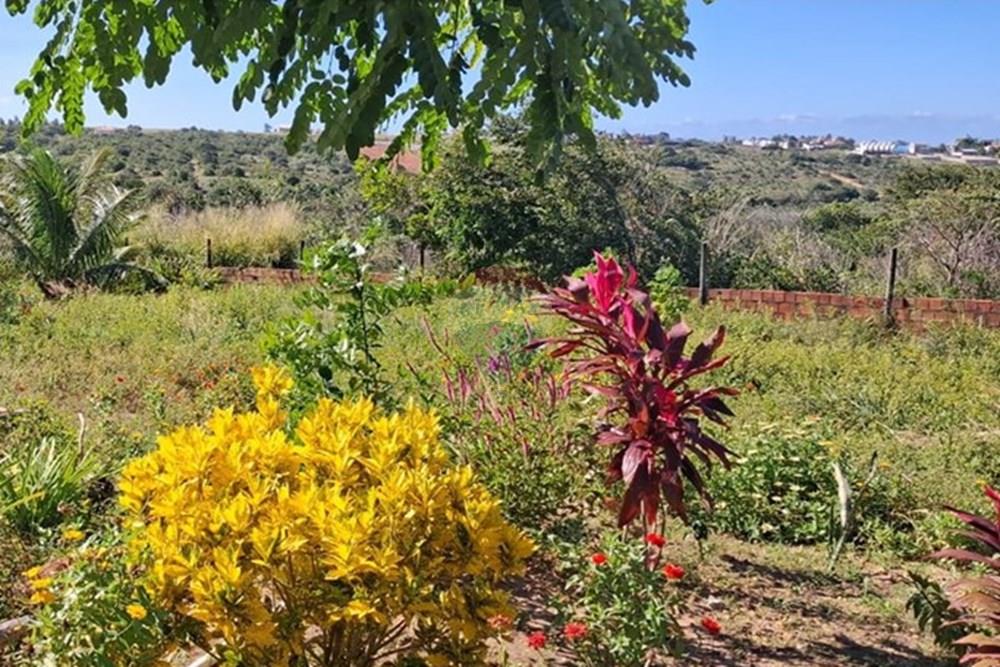 Terreno - Venda - Pitimbu , Paraíba - 05b37637-1bae-4f64-baea-7c8d314866d9.jpeg - 720871044-85