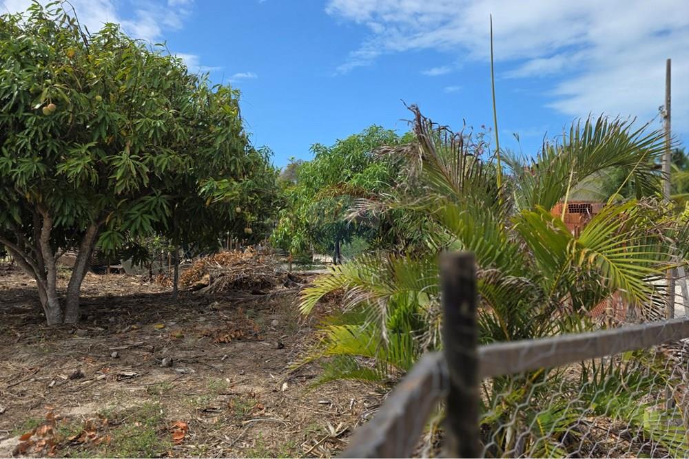 Terreno - Venda - Cruz , Ceará - 1000422687.jpg - 722341001-127