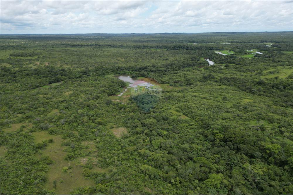 Fazenda - Venda - Carolina , Maranhão - 3 - 720991010-69