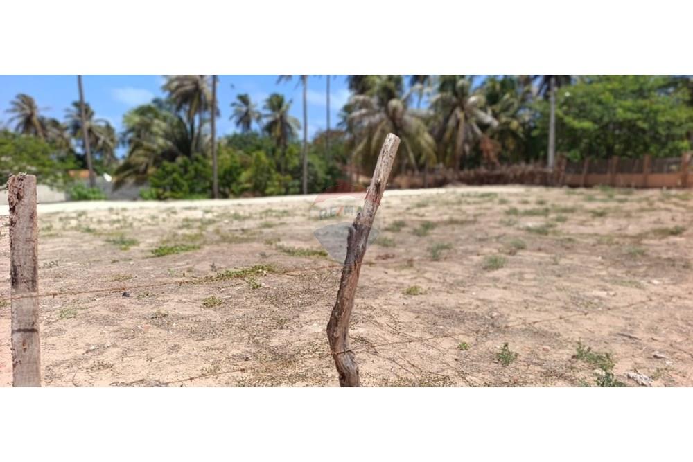 Terreno - Venda - Trairi , Ceará - WhatsApp Image 2026-01-16 at 14.42.44 (2).jpeg - 722341005-41