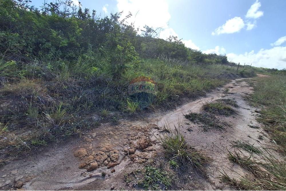 Terreno - Venda - Pitimbu , Paraíba - 1f4c5d44-d21c-485f-954e-e29a32f6c7d0 (1).jpeg - 720871044-88