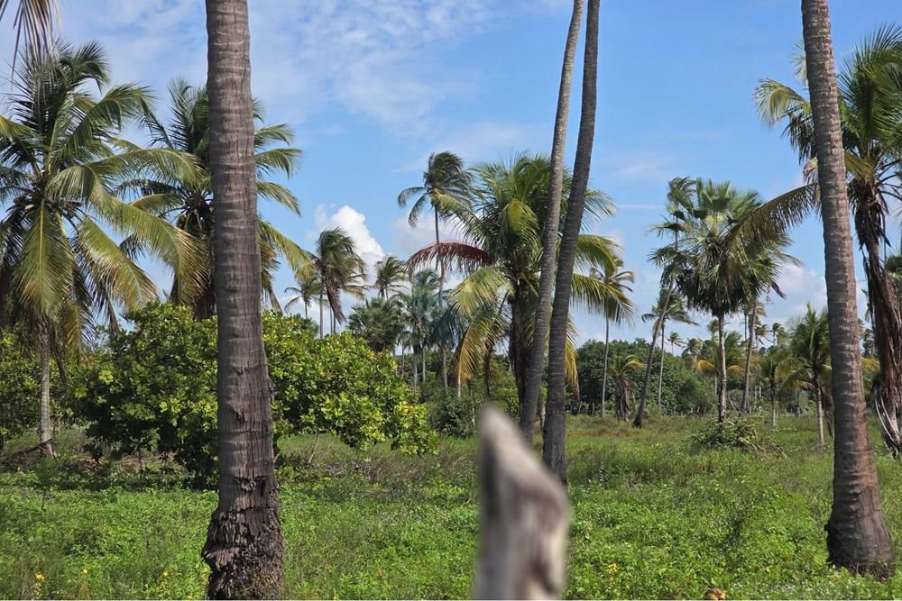 Terreno - Venda - Acaraú , Ceará - 1000542820.jpg - 722341001-188