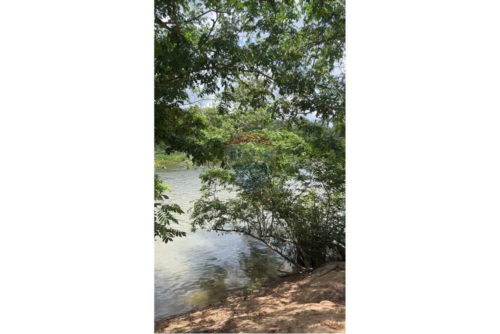 Fazenda - Venda - Rosário , Maranhão - IMG_0654.jpg - 722281002-38