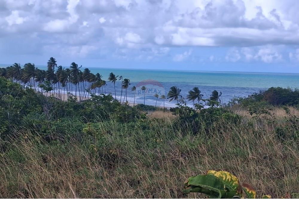 Terreno - Venda - Pitimbu , Paraíba - WhatsApp Image 2025-05-14 at 14.34.11.jpeg - 720871031-80